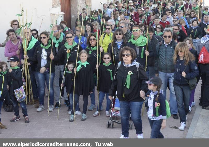 GALERÍA DE FOTOS - Romería Magdalena 2014 (4)