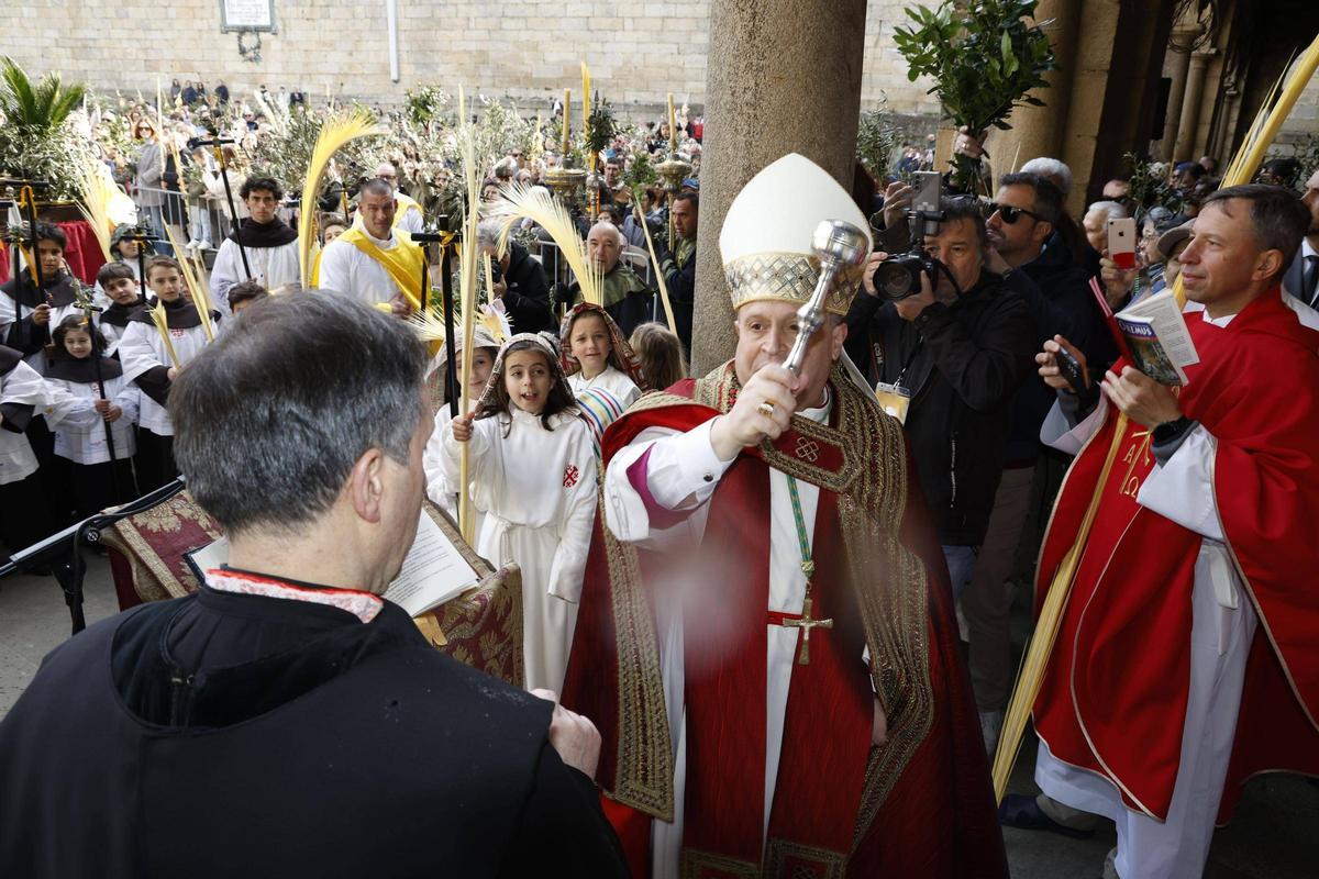 Domingo de Ramos en Santiago