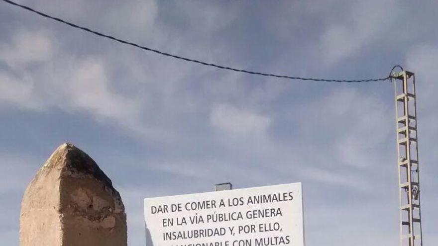 &#039;Gatitos en apuros&#039; de Elda critica los carteles en los que se prohíbe dar de comer a los gatos bajo multa de 600 euros