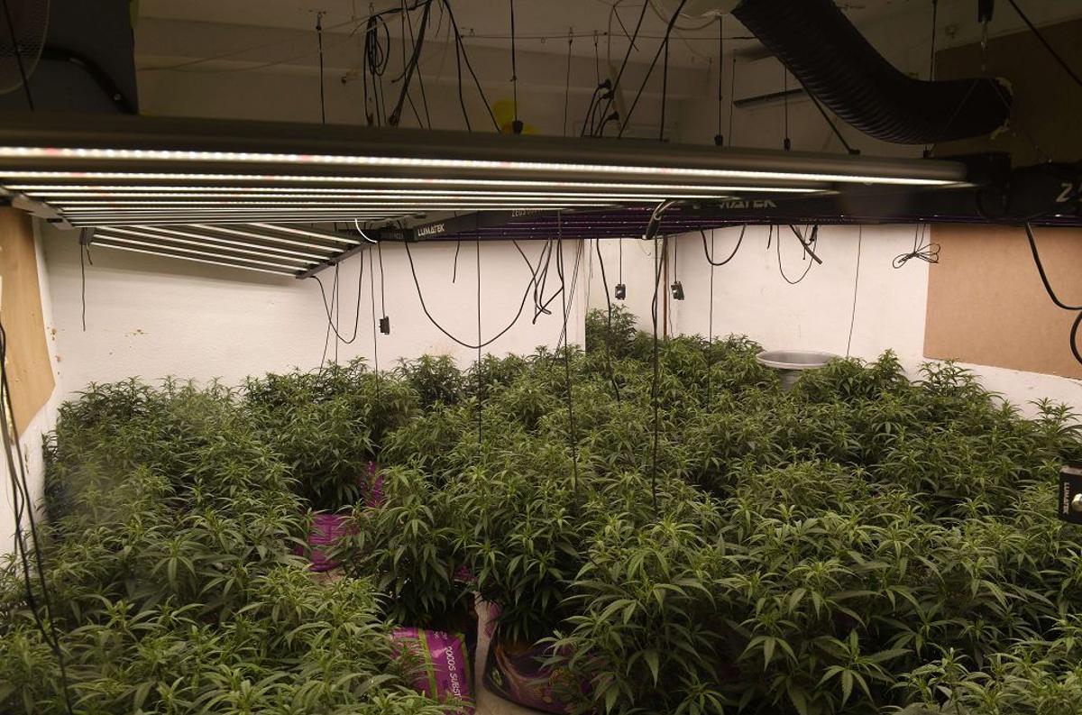 Las imágenes de la redada contra el narcotráfico en el Polígono de La Paz en Murcia Las imágenes de la redada contra el narcotráfico en el Polígono de La Paz en Murcia