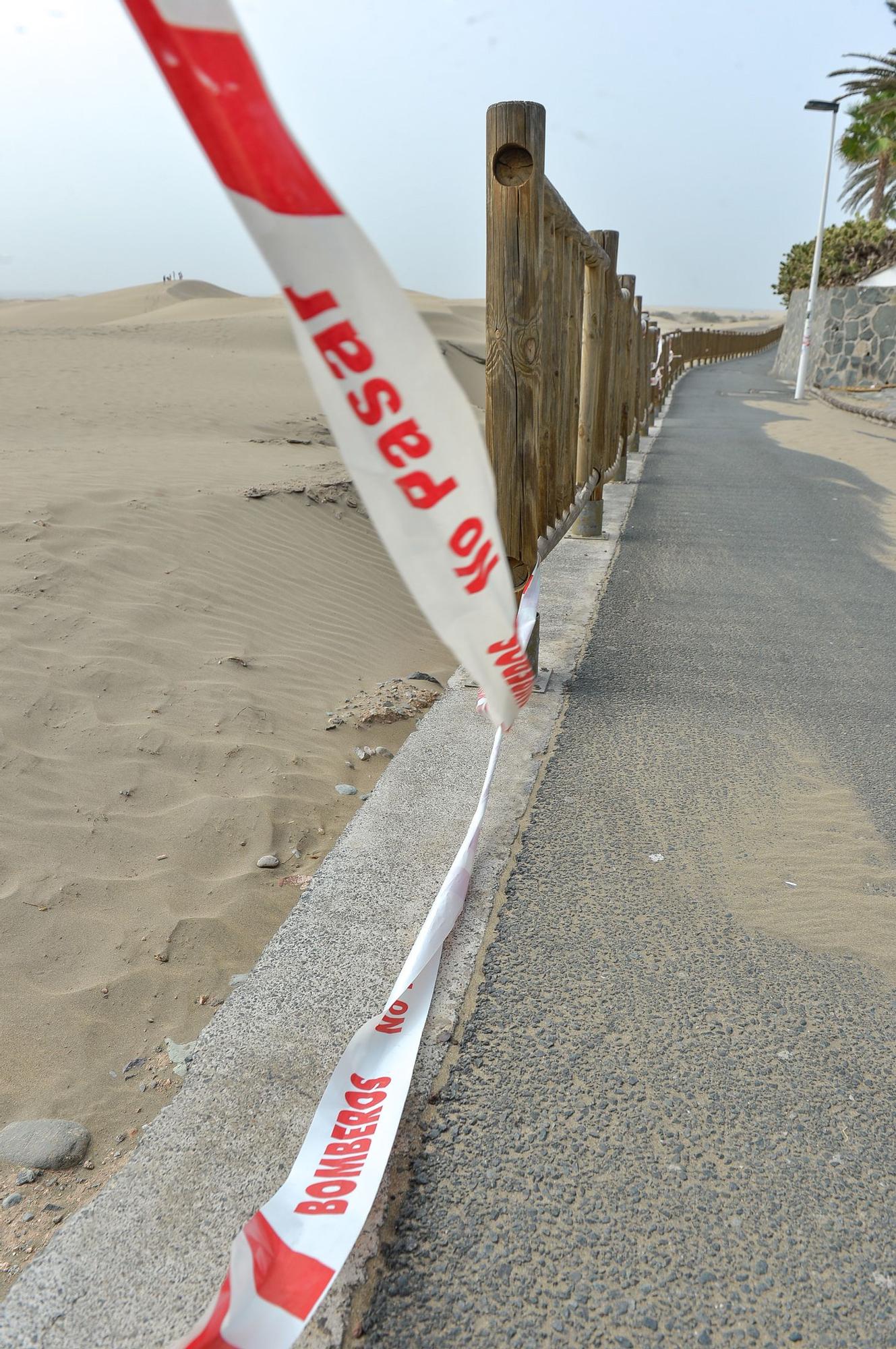 Estado actual de la zona de Las Escorrentia cerca del Mirador de las Dunas