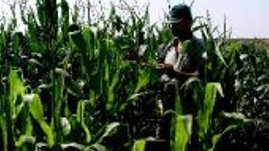 La nueva oficina agraria funcionará en el 2007