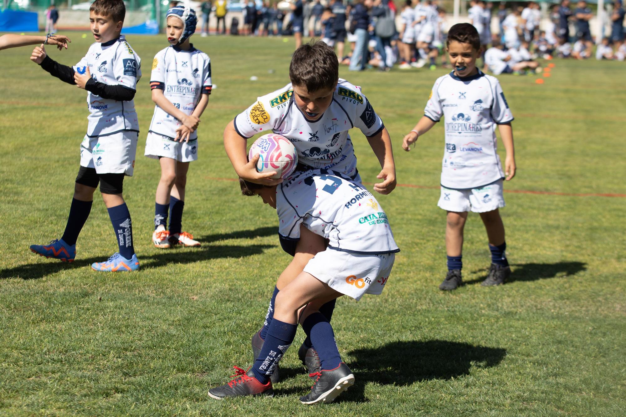 GALERÍA | El rugby más puro brilla con la "II Jornada de canteras Ciudad de Zamora"