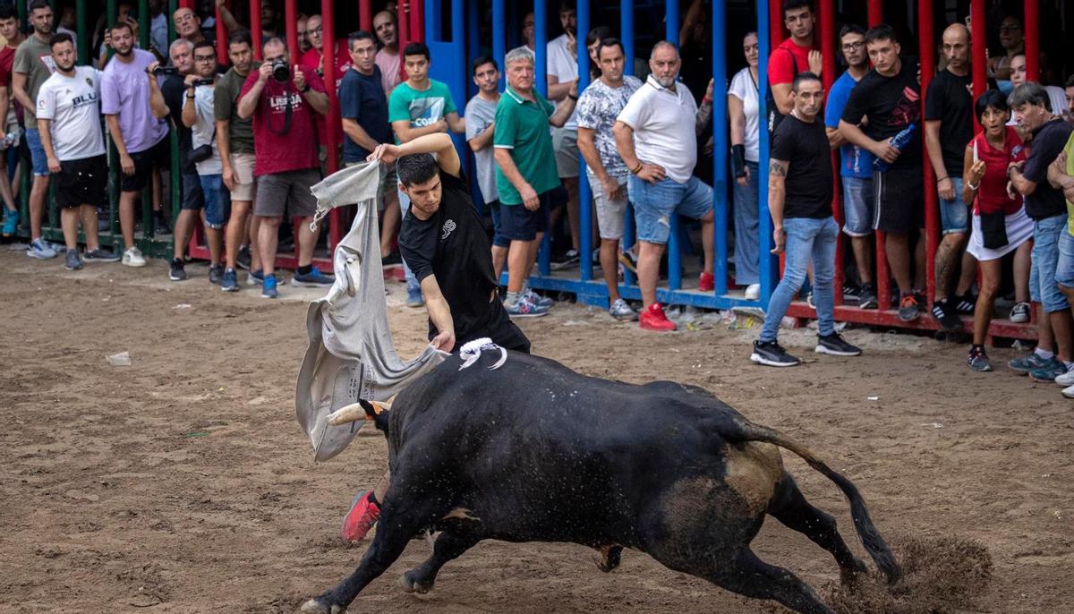 Imagen de un festejos dels bous al carrer en la Comunitat Valenciana