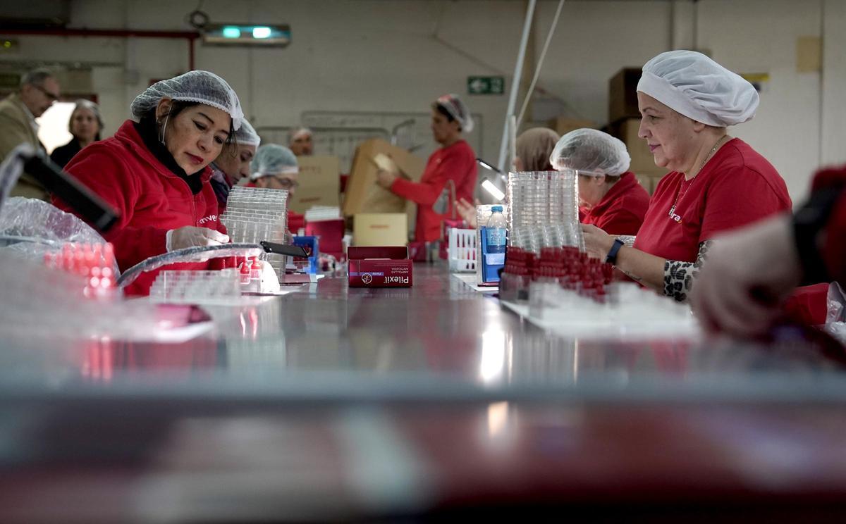 Varias personas trabajan en la cadena de elaboración de empaquetado del centro especial de empleo de Envera.