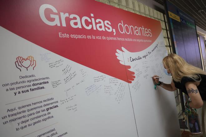 Día del donante de órganos en el Hospital General de Alicante