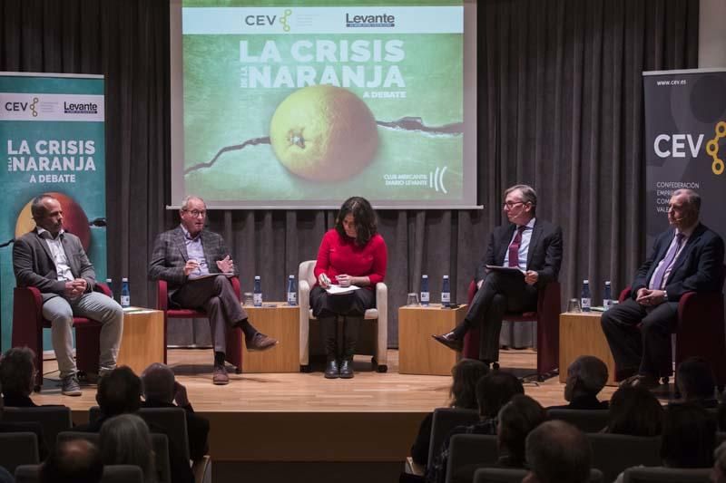 Debate: La crisis de la naranja