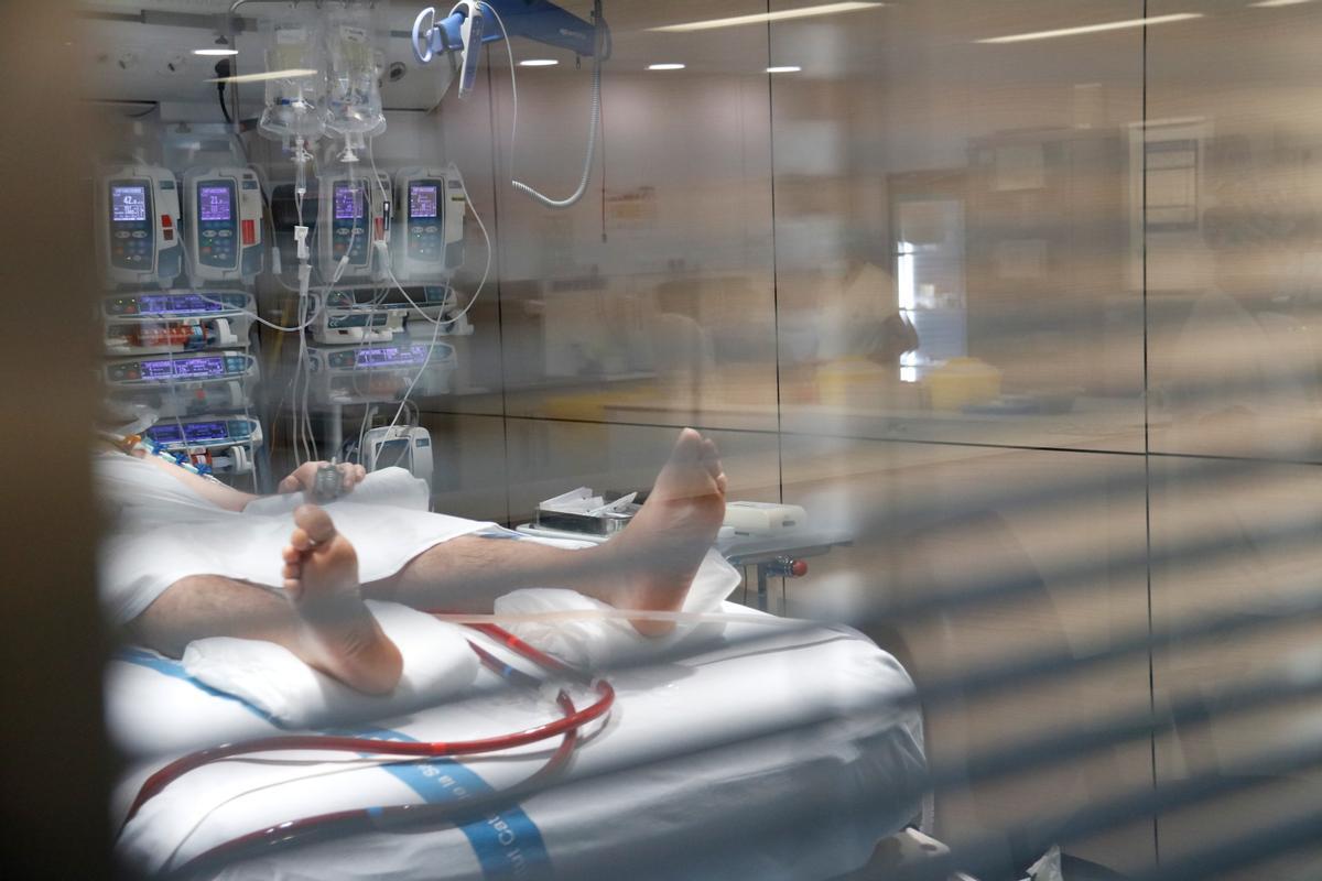 Un box amb un pacient crític ingressat a l'UCI de Vall d'Hebron per covid