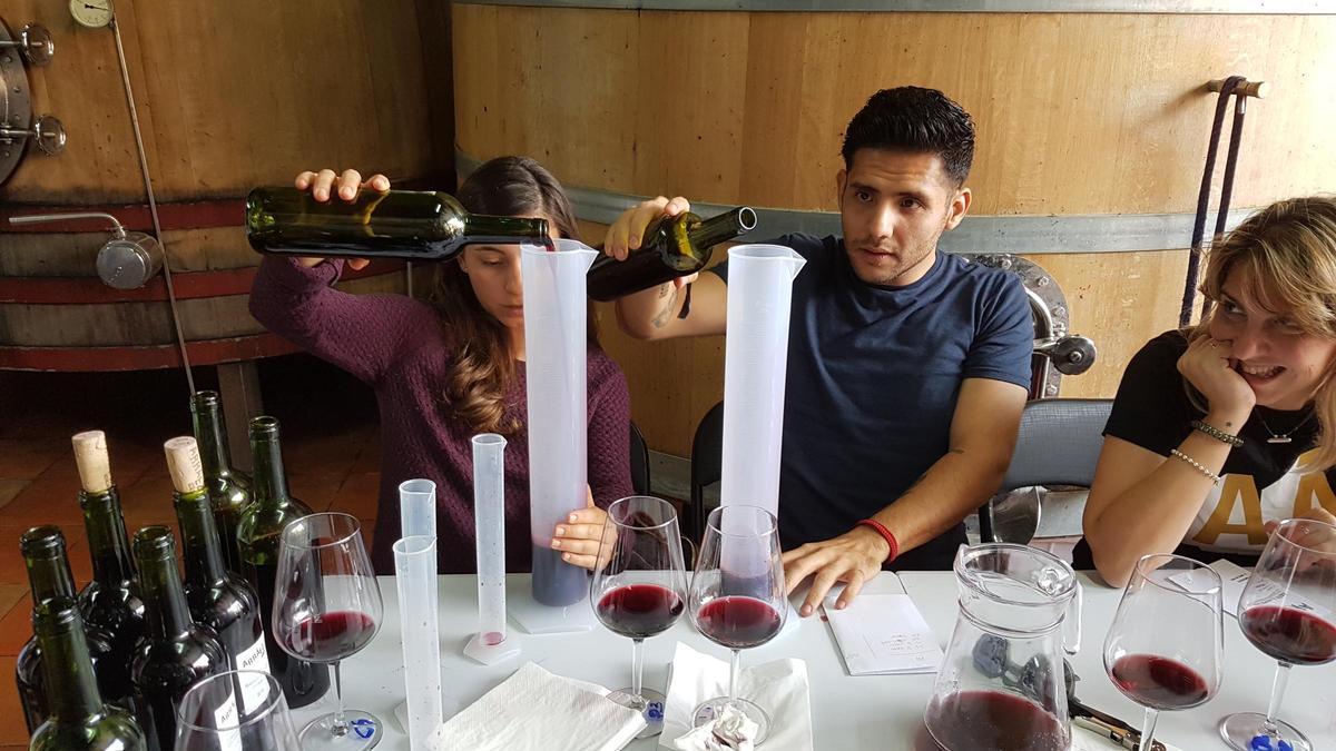 Un perfil de nuevos consumidores que buscan disfrutar del vino de manera distendida,