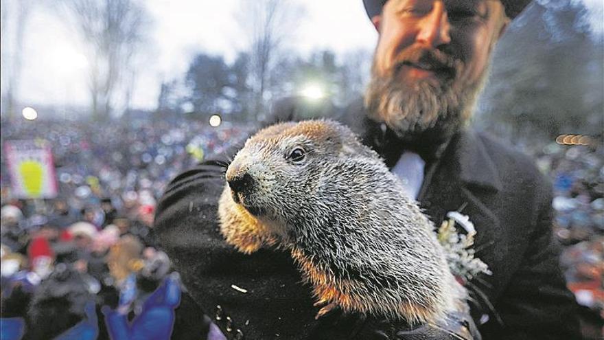 ‘phil’ pronostica que la primavera llegará pronto