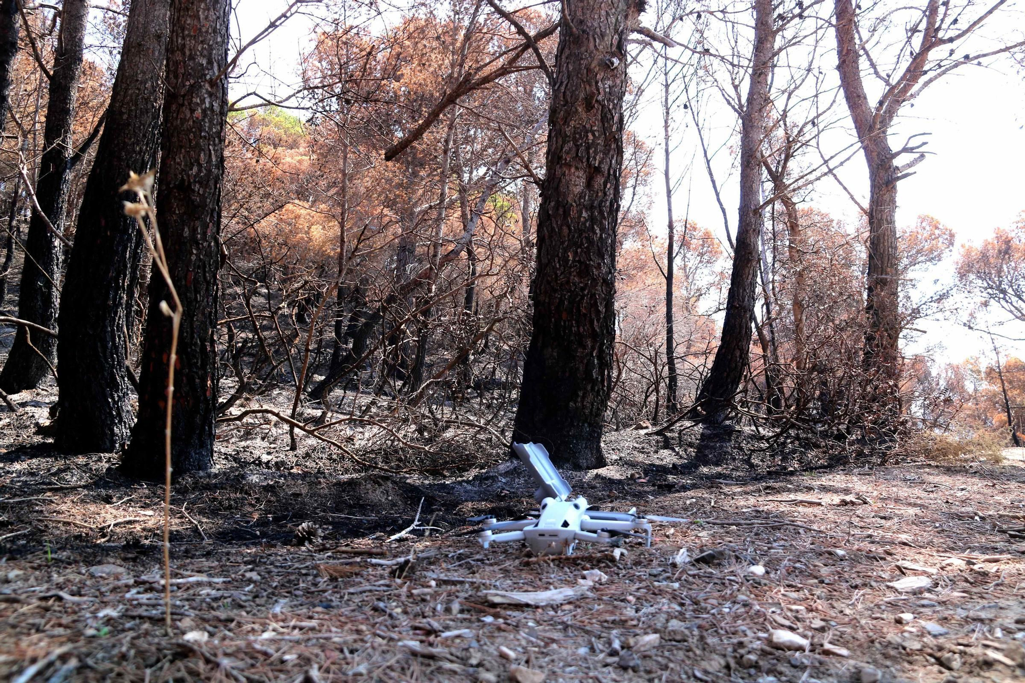 Les fotos de l'incendi de Paüls a vista de dron