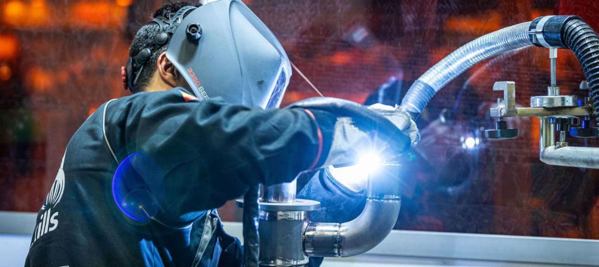 Sello zamorano en las olimpiadas europeas de la FP