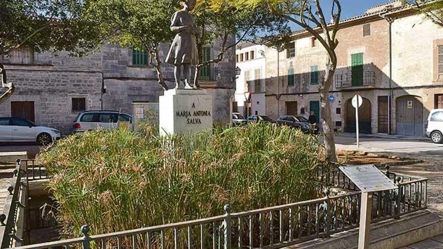 Estatua homenaje a Salvà en Llucmajor.