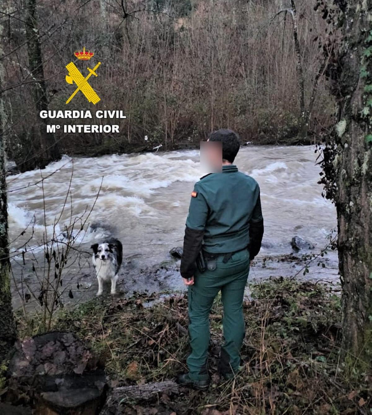 Búsqueda del hombre desaparecido.