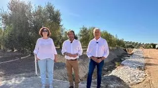 Fernán Núñez recupera más de dos kilómetros de la Vereda de Córdoba dañados por las borrascas