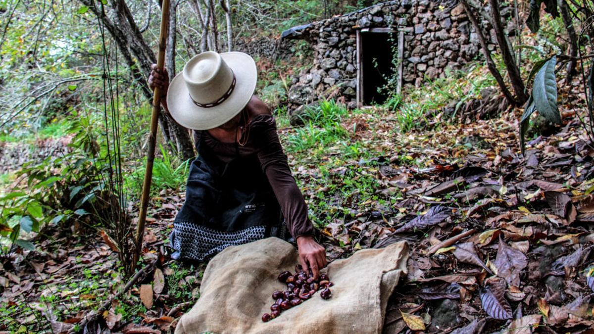 Una de las imágenes del calendario de 2026 de El Sauzal realizado por Juanra Álvarez