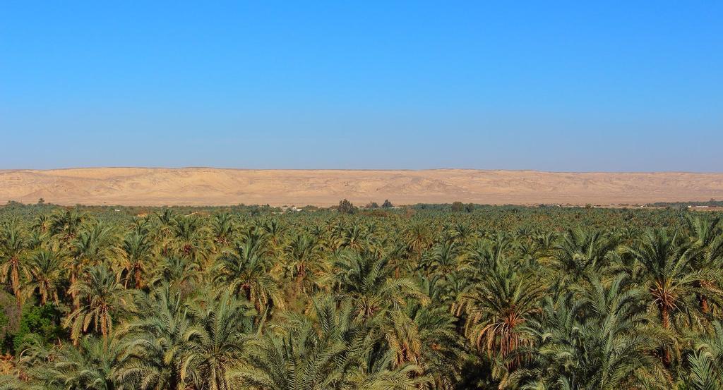 bahariya, Egipto, oasis