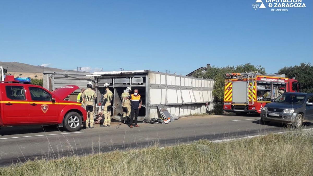 Camión de cerdos volcado en Ricla