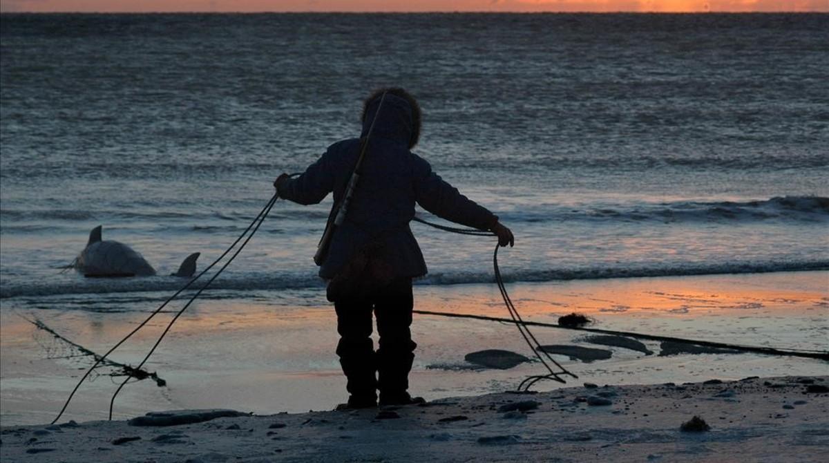 amadridejos3658156 karlin itchoak coils the rope of a subsistence net after pul180112191606