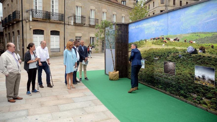 Inauguración de una exposición sobre la Rapa das Bestas de Sabucedo, en Pontevedra, presidida por la presidenta provincial. // Rafa Vázquez