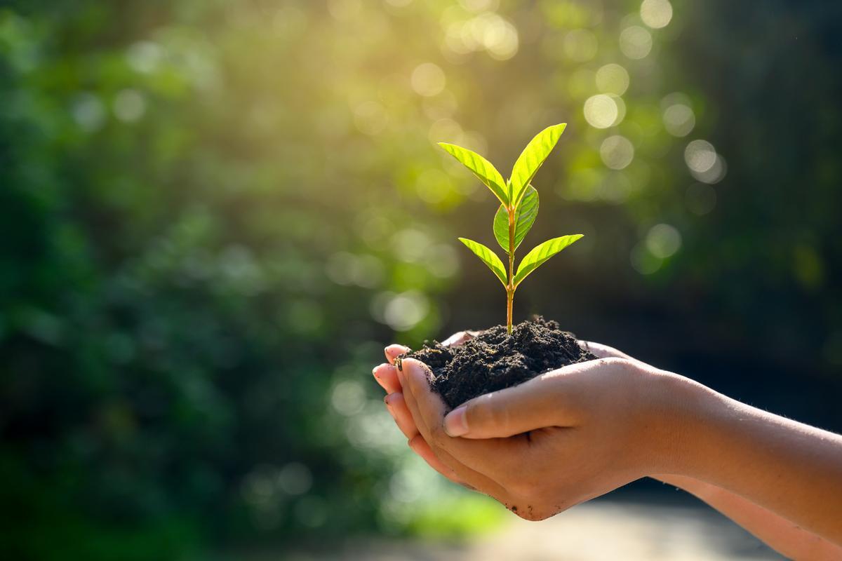 La sensibilidad ambiental es una de las razones por las que España es una potencia en el uso de microorganismos como bioestimulantes