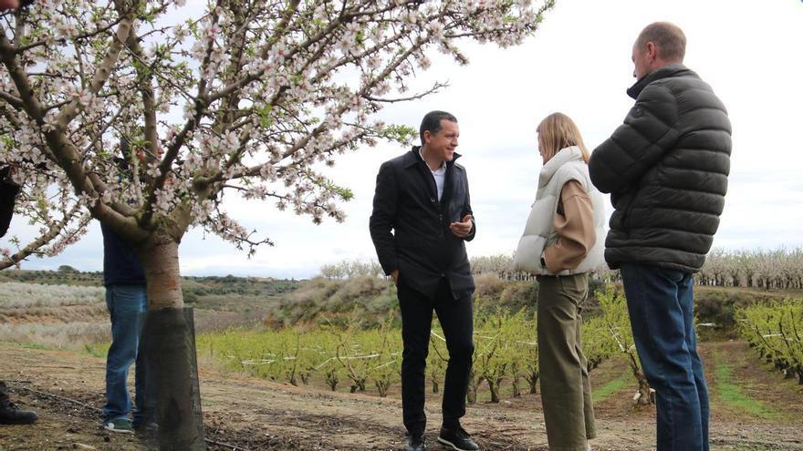 El Govern donarà ajudes als pagesos que es vulguin jubilar i traspassin les seves terres a un jove agricultor