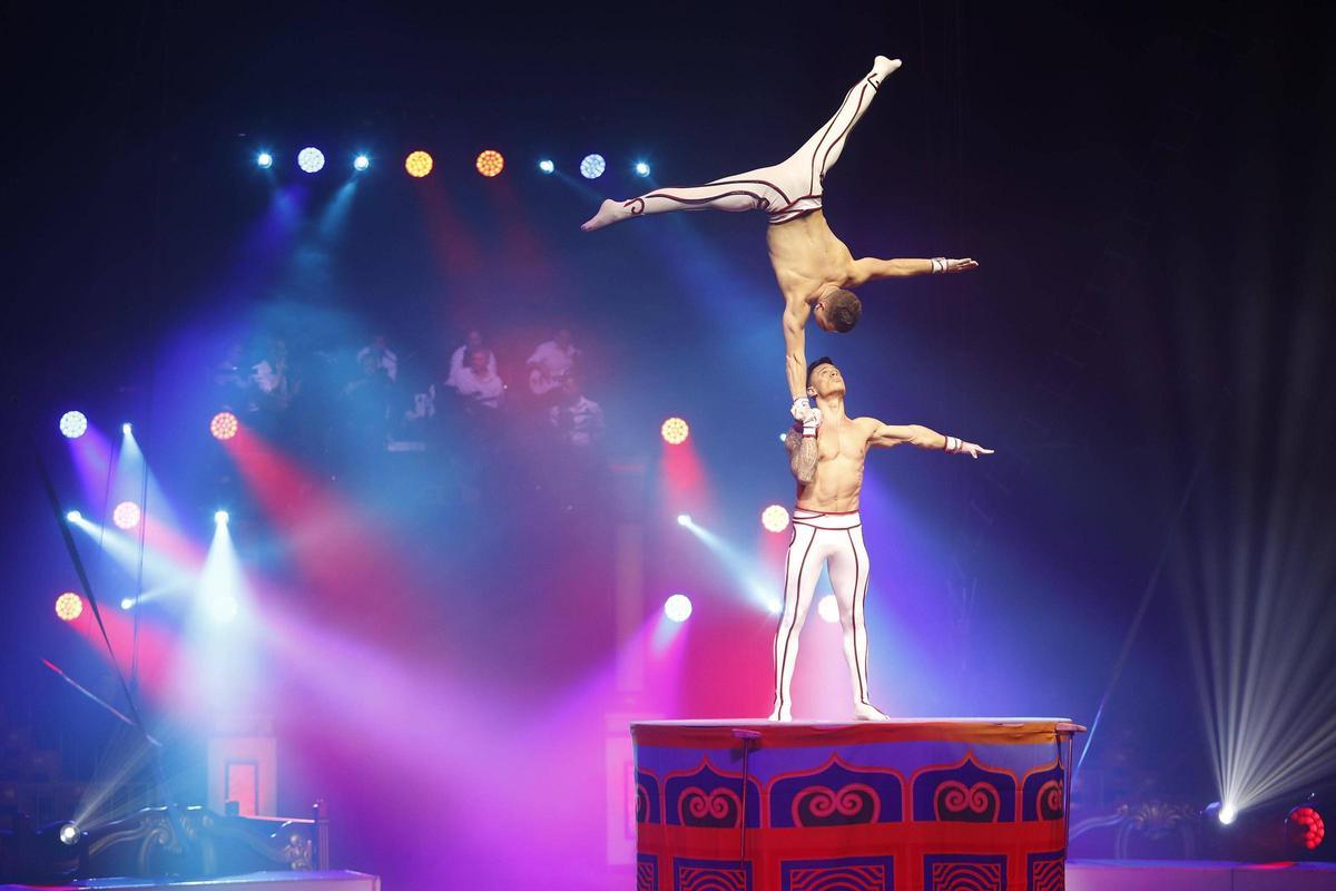 Les fotos d'alguns dels artistes del Festival Internacional del Circ de Girona 2026
