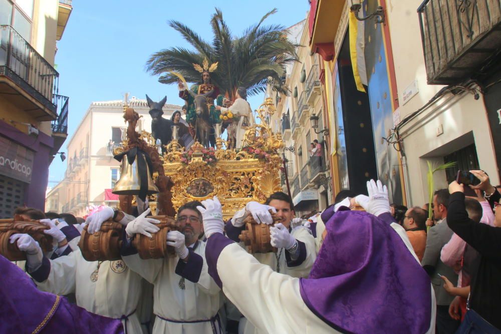 Domingo de Ramos | Pollinica