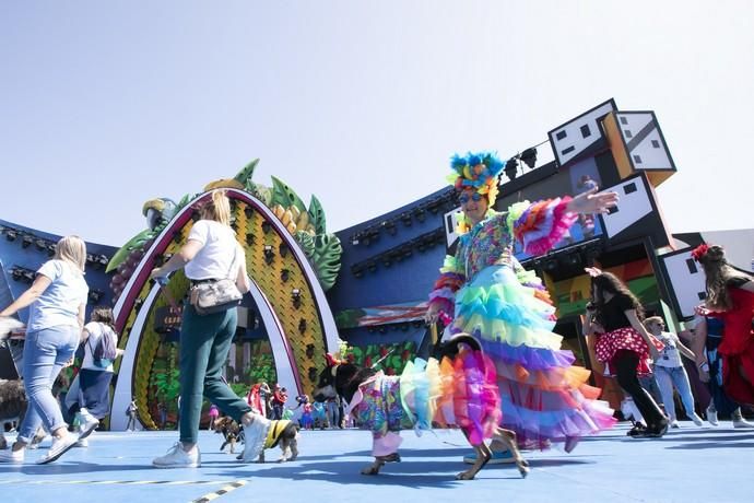 20.02.19. Las Palmas de Gran Canaria. Carnaval 2019. Público. Parque de Santa Catalina. Foto Quique Curbelo