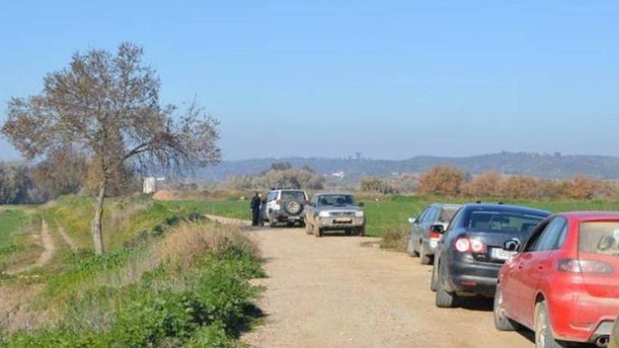 Muere un jornalero al sufrir una descarga eléctrica