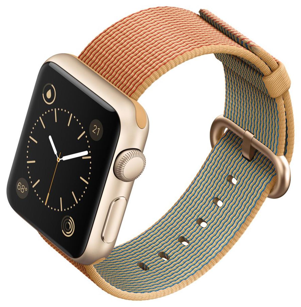 Correa de Apple Watch Hermès