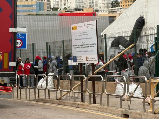 Se estrena el módulo de acogida en el puerto de Palma con la llegada masiva de migrantes