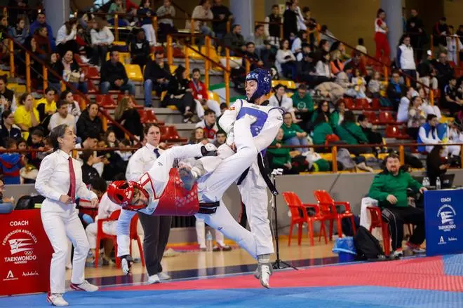 El Open Internacional de Andalucía y la Copa Iberdrola de taekwondo, en imágenes