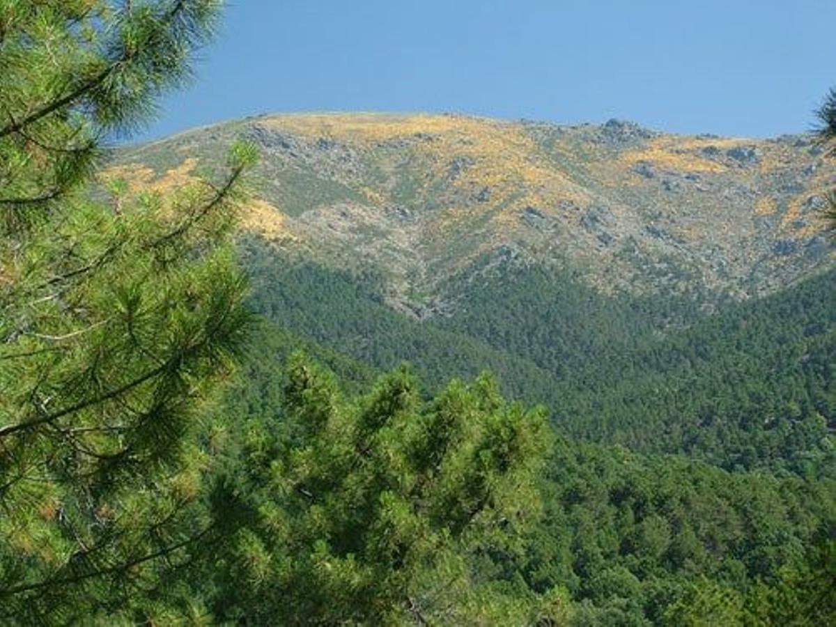 Descubre La Adrada Viajar