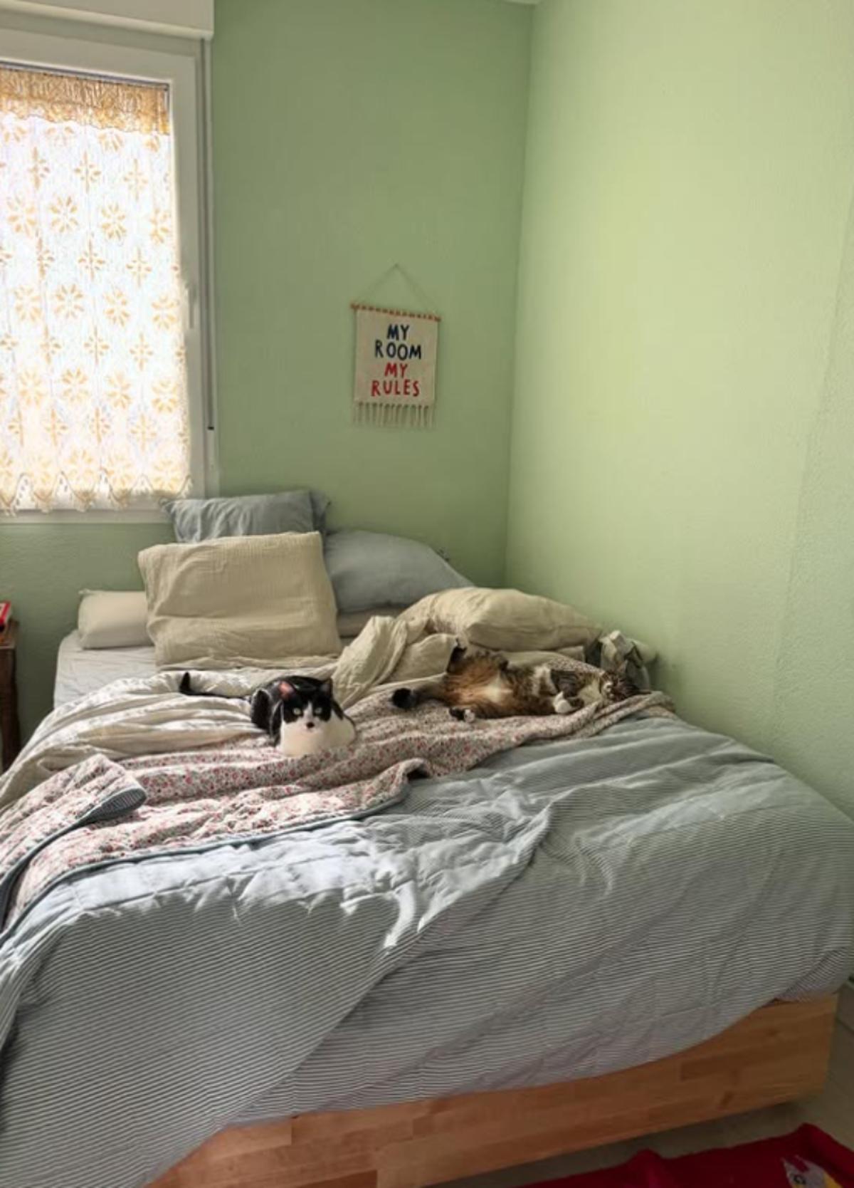 Así es la habitación de Paula Usero