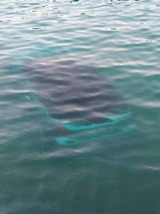 Un coche cae al mar en el puerto de Ibiza con sus dos ocupantes