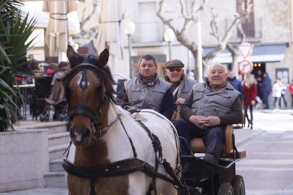 Festa de Sant Antoni Abad a Torroella de Montgrí