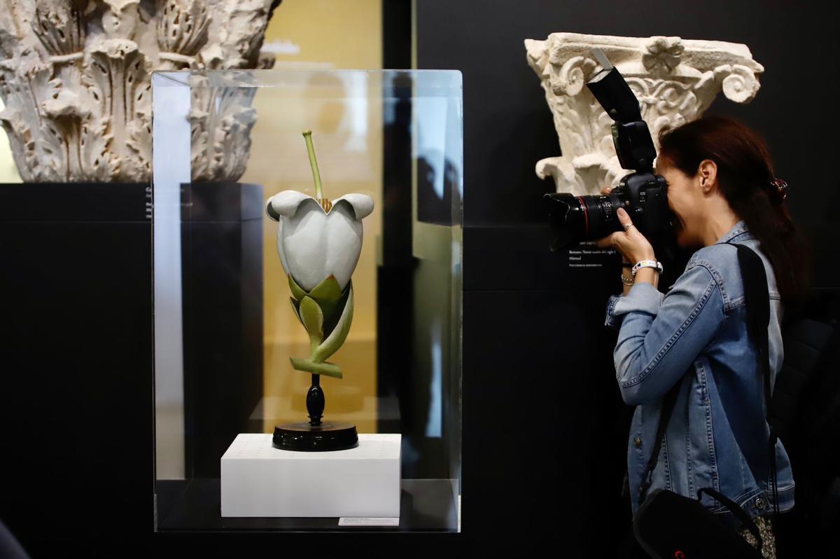 Flora expone el vínculo ancestral entre botánica y arqueología.