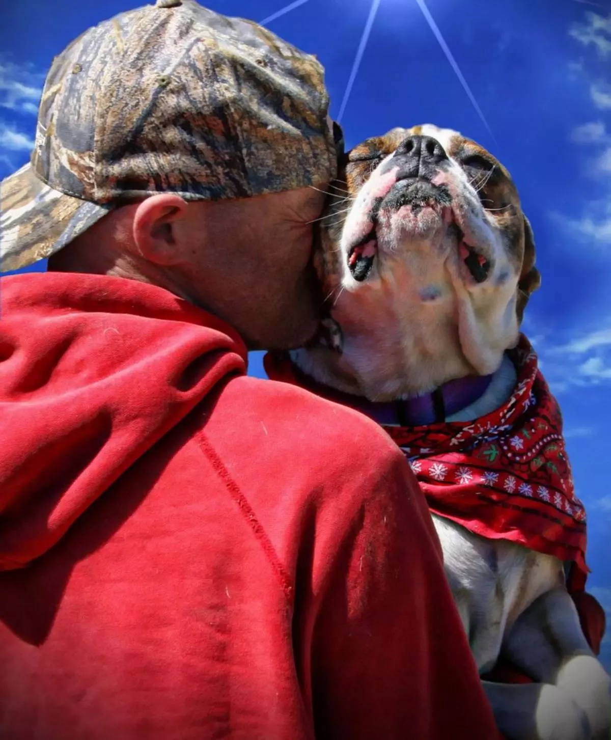 Decir adiós a tu perro