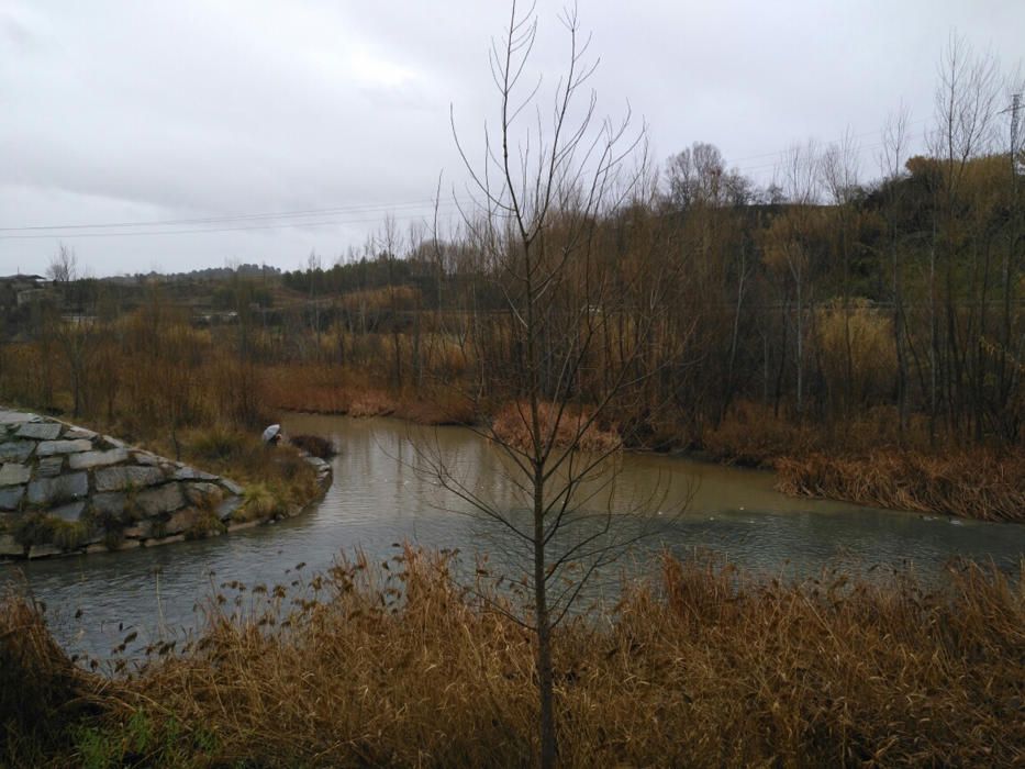 Aigües. Dia plujós i al riu Cardener es junten dues aigües, la que baixa fangosa per la pluja i la que és una mica més neta que entra cap al canal.