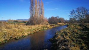 El río Serrano, en la zona afectada por los proyectos mineros de Segovia