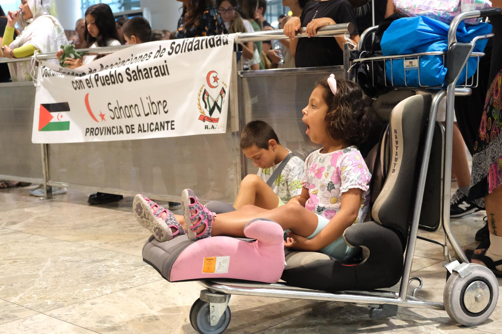 Los niños saharauis llegan a Alicante a pasar unas vacaciones en paz