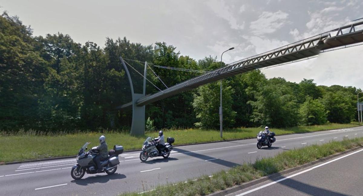 Imagen del puente del bosque de La Haya