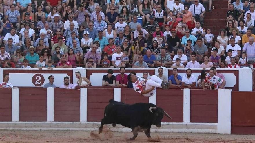 Un momento del concurso de cortes celebrado en la Plaza de Toros de Zamora.