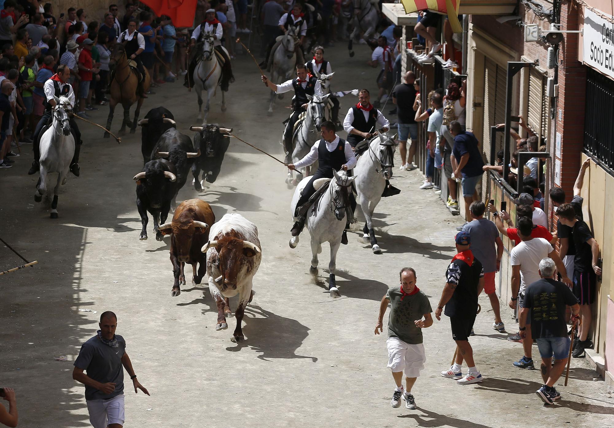 Todas las fotos de la cuarta Entrada de Toros y Caballos de Segorbe