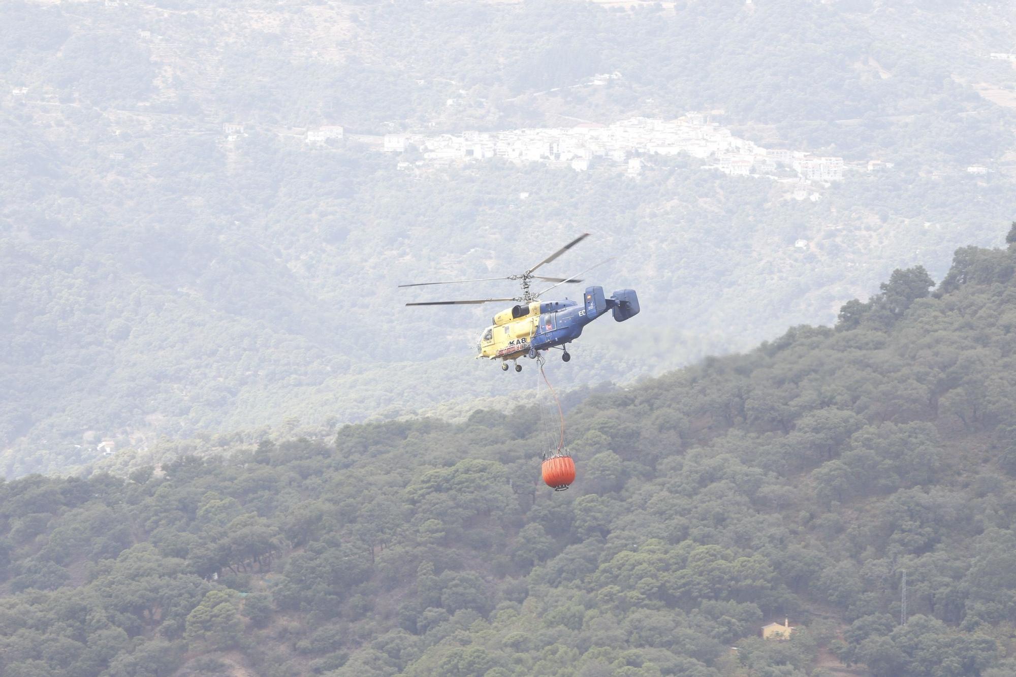 El Paraje de las Peñas Blancas en Estepona arrasado por el fuego