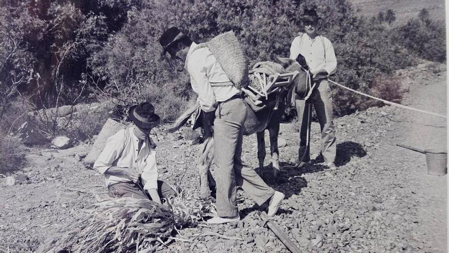 Los mariantes, una tradición que no debería perderse
