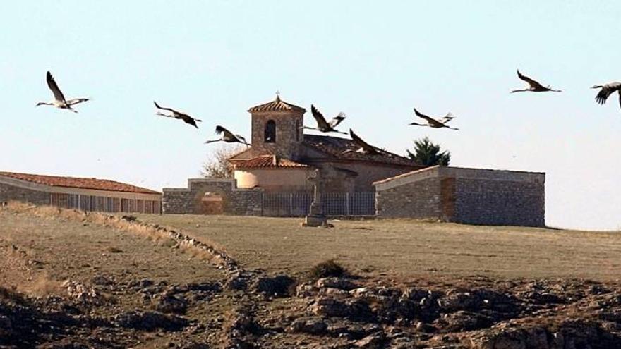 Torres, grullas y dulces tradicionales