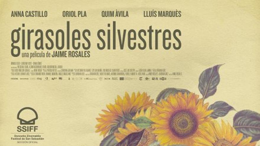 Girasoles silvestres