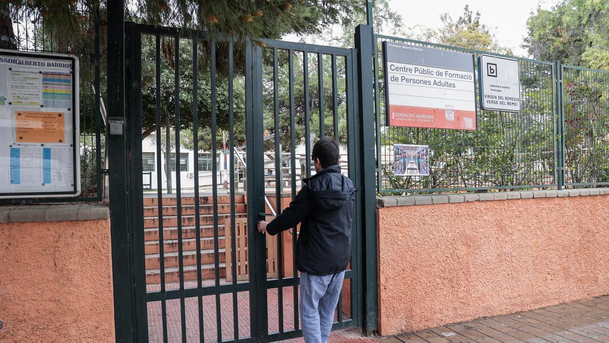 La procesionaria vuelve a aparecer en Alicante